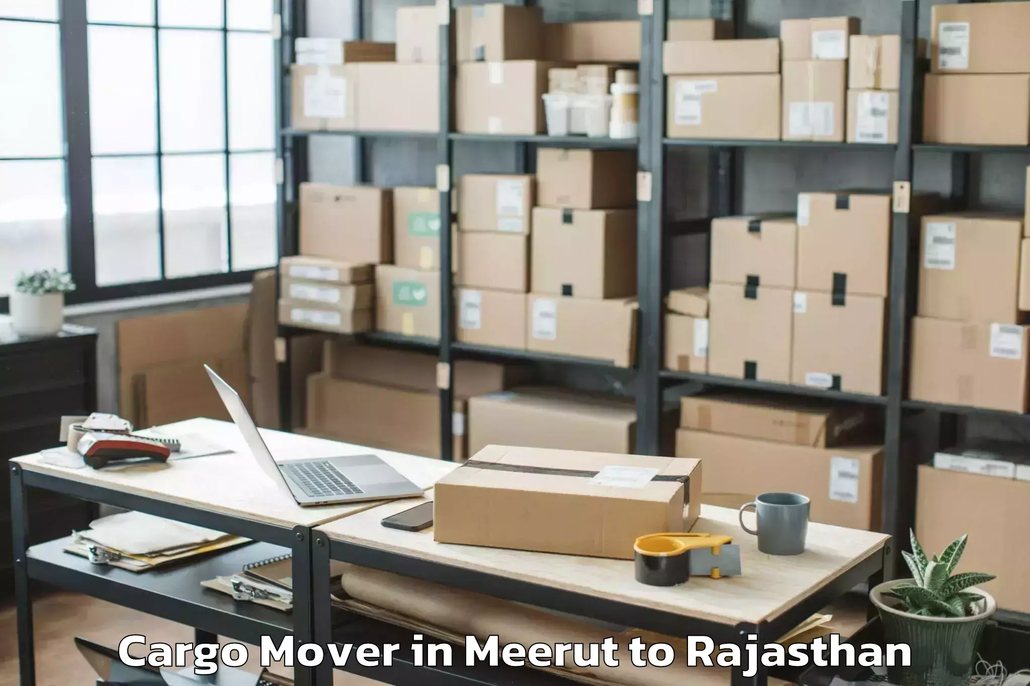 Easy Meerut to Bari Sadri Cargo Mover Booking